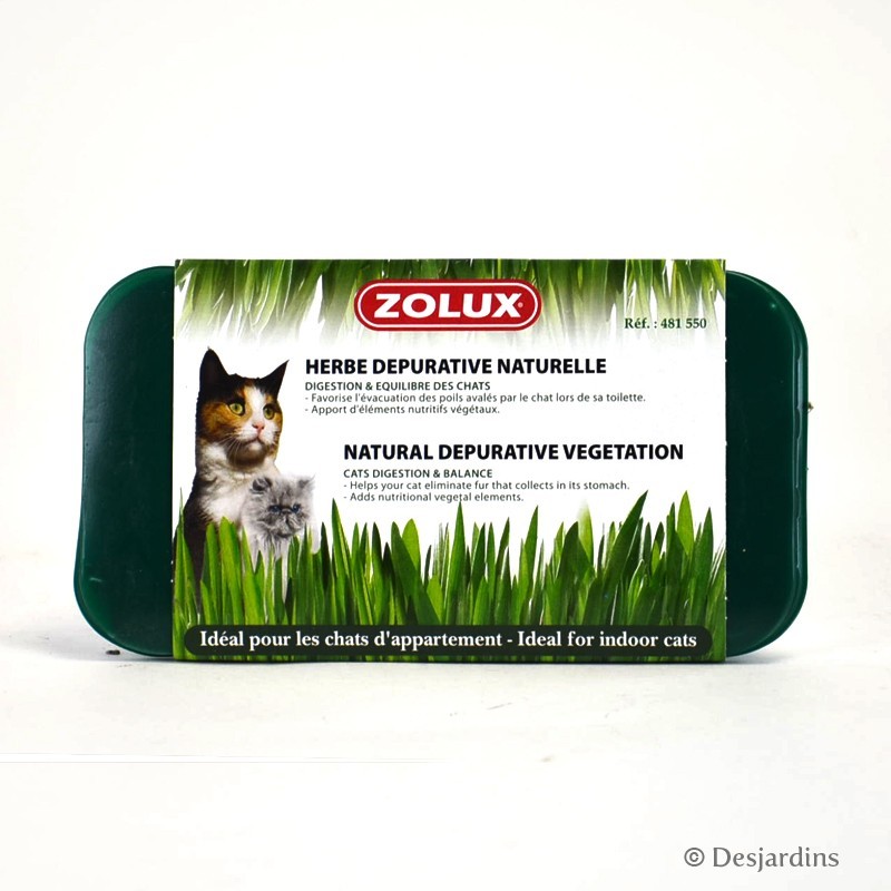 majs Soilless Culture Pot de plantation d'herbe à chat pour chat  domestique, culture hydroponique et maternelle : : Jardin