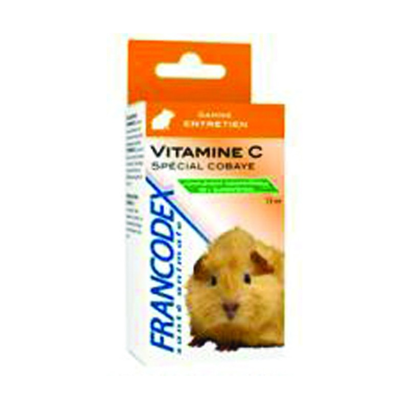 Vitamine C : un apport indispensable pour votre cochon d'Inde