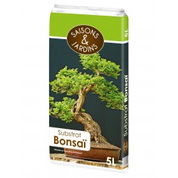 bonsaï chabasai substrat – Pépinière Jasmin